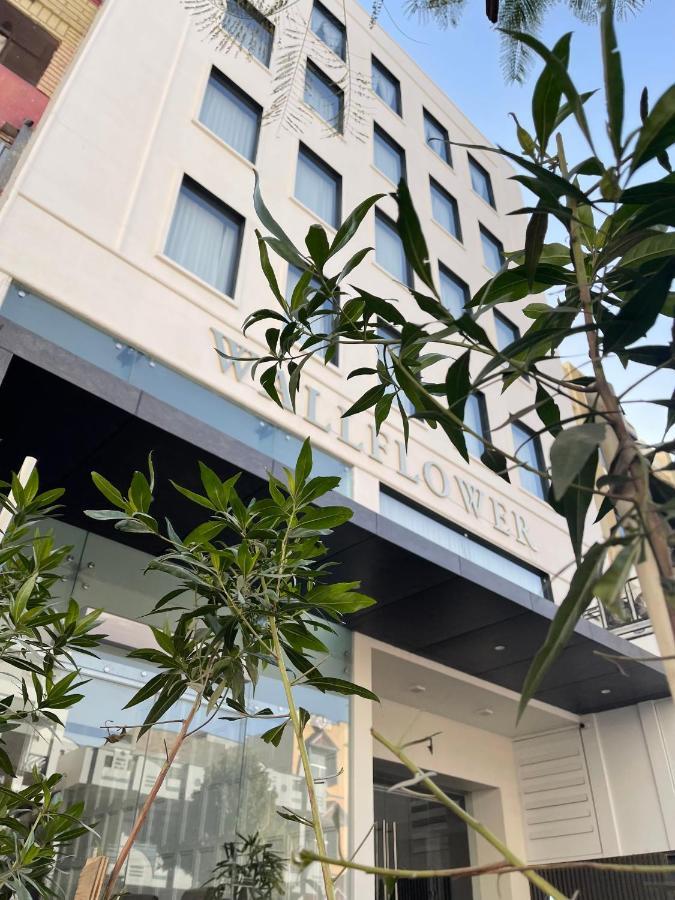 The Wallflower Hotel Kota (Rajasthan) Exterior photo